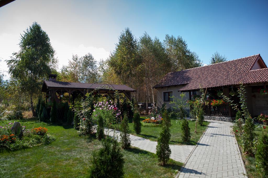 Pensiunea Royal Garden Hotel Sâmbăta de Sus Exterior photo
